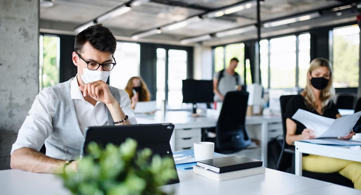 Процесс обучения веб-дизайну с использованием профессиональных инструментов